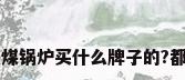 家用小型燃煤锅炉买什么牌子的?都有哪些牌子