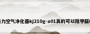 格力空气净化器kj210g-a01真的可以除甲醛吗
