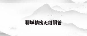 聊城精密无缝钢管