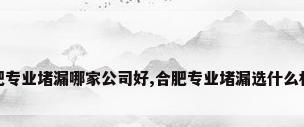 合肥专业堵漏哪家公司好,合肥专业堵漏选什么材料