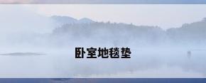 卧室地毯垫