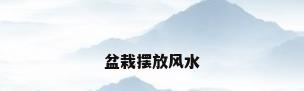盆栽摆放风水