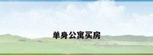 单身公寓买房