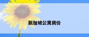 新加坡公寓房价