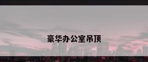 豪华办公室吊顶