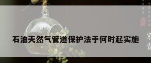 石油天然气管道保护法于何时起实施