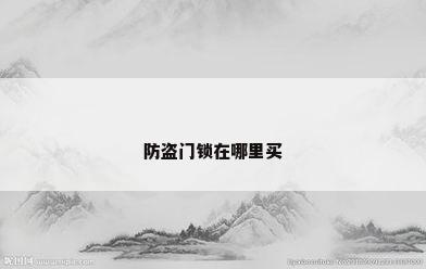 防盗门锁在哪里买
