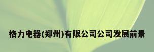 格力电器(郑州)有限公司公司发展前景