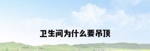 卫生间为什么要吊顶