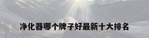 净化器哪个牌子好最新十大排名