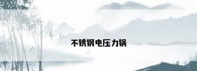 不锈钢电压力锅