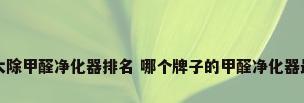 十大除甲醛净化器排名 哪个牌子的甲醛净化器最好