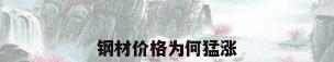 钢材价格为何猛涨