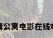 爱情公寓电影在线观看