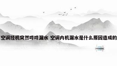 空调挂机突然哗哗漏水 空调内机漏水是什么原因造成的