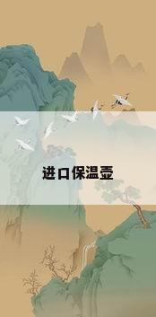 进口保温壶