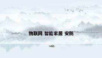 物联网 智能家居 安防