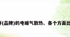 什么样(品牌)的电暖气散热、各个方面比较好?