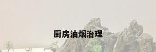 厨房油烟治理