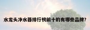 水龙头净水器排行榜前十的有哪些品牌?