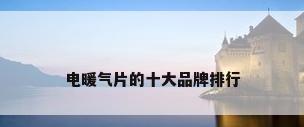 电暖气片的十大品牌排行
