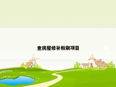 查房屋修补粉刷项目
