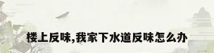 楼上反味,我家下水道反味怎么办