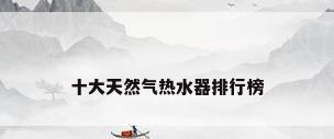 十大天然气热水器排行榜