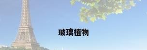 玻璃植物
