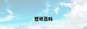壁纸百科