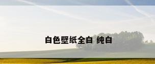 白色壁纸全白 纯白