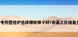 家用电热壁挂炉选择哪些牌子好?市面上价格是多少?