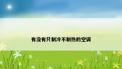 有没有只制冷不制热的空调