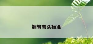 钢管弯头标准