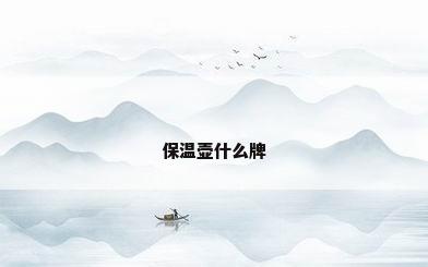 保温壶什么牌