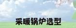 采暖锅炉选型