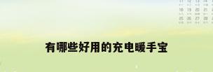 有哪些好用的充电暖手宝