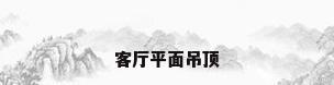 客厅平面吊顶