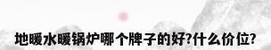 地暖水暖锅炉哪个牌子的好?什么价位?