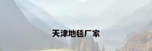 天津地毯厂家