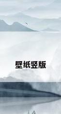 壁纸竖版