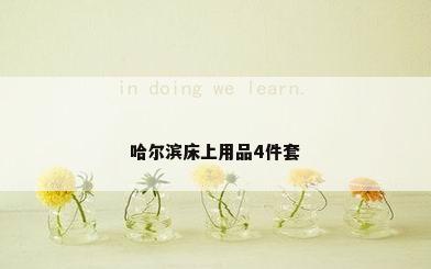 哈尔滨床上用品4件套