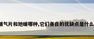 暖气片和地暖哪种,它们各自的优缺点是什么?