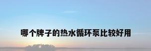 哪个牌子的热水循环泵比较好用