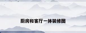 厨房和客厅一体装修图