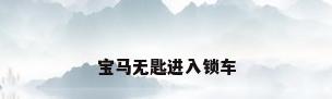 宝马无匙进入锁车