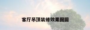 客厅吊顶装修效果图圆