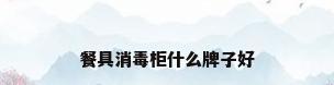 餐具消毒柜什么牌子好