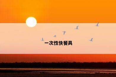 一次性快餐具