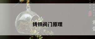 铸铁阀门原理